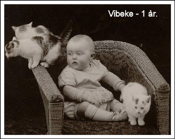 vib1r.jpg